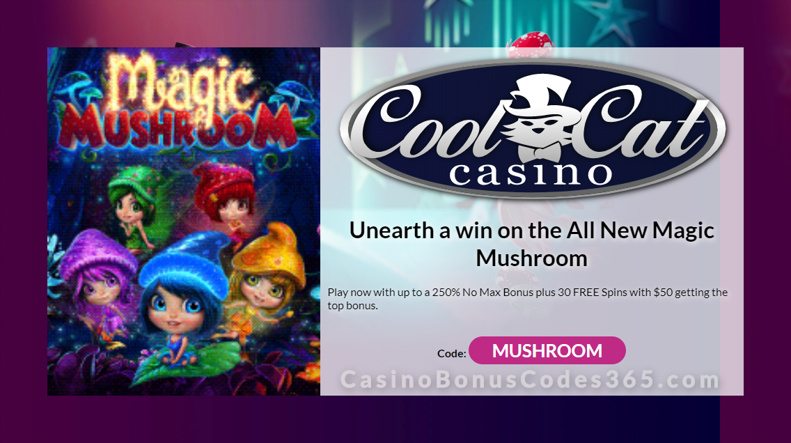 Cool Cat Casino Free Spins